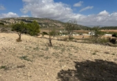 Land suitable for development for sale on España, Monóvar, ref: TR166016 photo