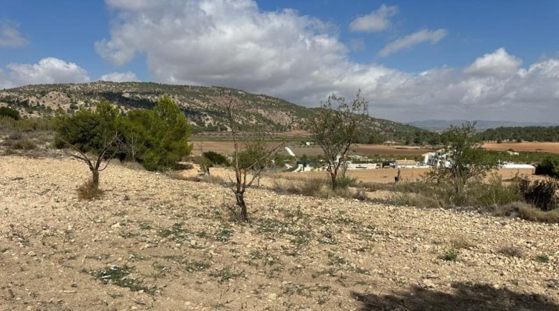Alicante - Monóvar - 11000m2