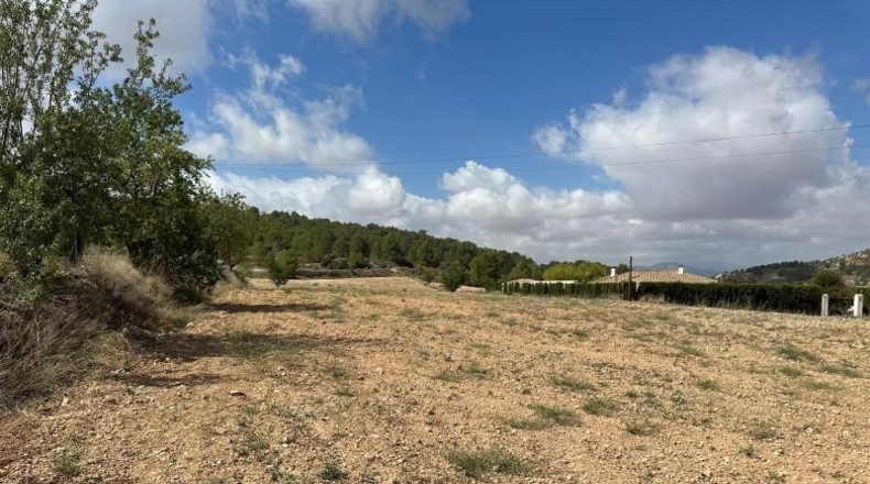 Alicante - Monóvar - 11000m2