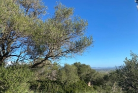 Santa Eugènia 1477&nbsp;m² 