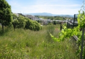 Suelo urbano en venta en la España, Cabañas Raras, ref: TR134922 foto