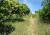 Suelo urbano en venta en la España, Cabañas Raras, ref: TR134922 foto