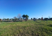 Terreny no urbanitzable en venda a la España, Aldeamayor de San Martín, ref.: TR320907 foto