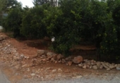 Terreno no urbanizable en venta en la España, Almassora, ref: TR150383 foto