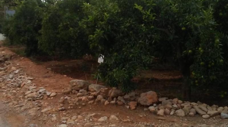 Castellón - Almazora - 1662m2