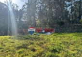 Non-developable land for sale on España, O Calvario, ref: TR124761 photo