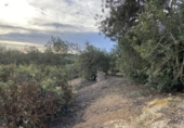 Terreno no urbanizable en venta en la España, el Perelló, ref: TR119142 foto