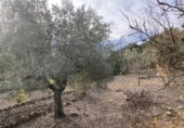 Terreno no urbanizable en venta en la España, el Perelló, ref: TR119142 foto