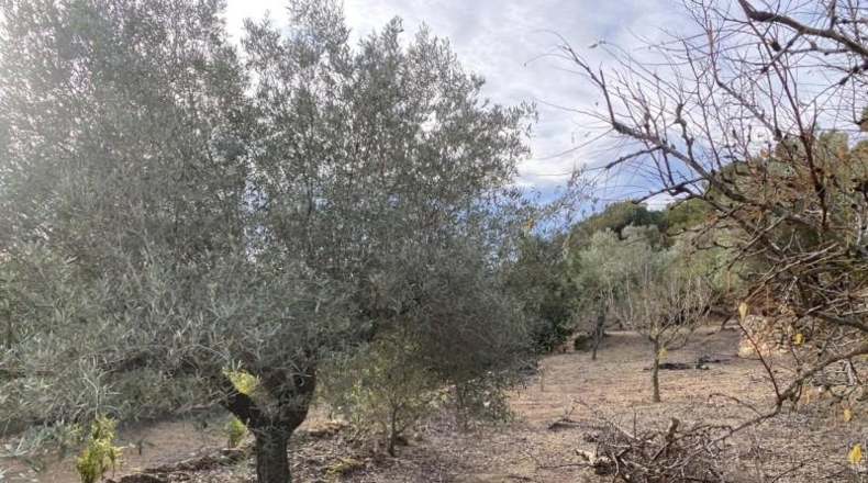 Tarragona - el Perelló - 6937m2