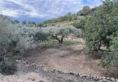 Terreno no urbanizable en venta en la España, el Perelló, ref: TR119142 foto