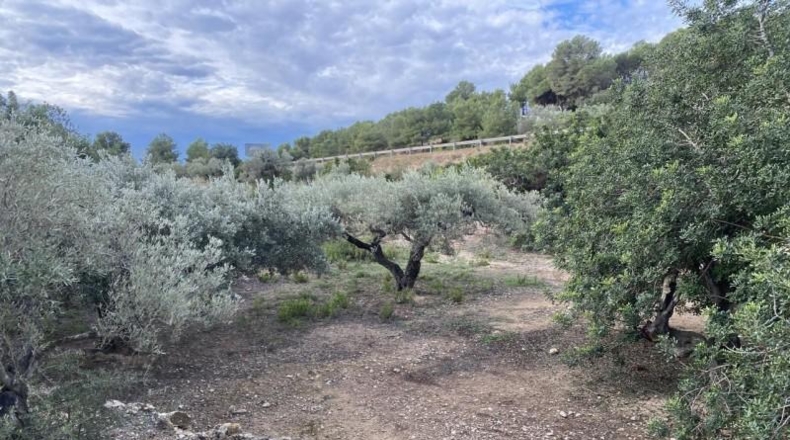 Tarragona - el Perelló - 6937m2