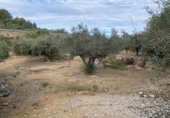 Terreno no urbanizable en venta en la España, el Perelló, ref: TR119142 foto