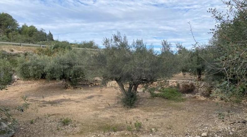 Tarragona - el Perelló - 6937m2