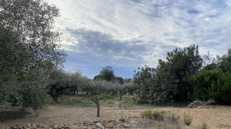 Tarragona - el Perelló - 6937m2