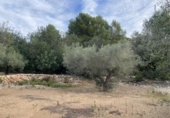 Terreno no urbanizable en venta en la España, el Perelló, ref: TR119142 foto