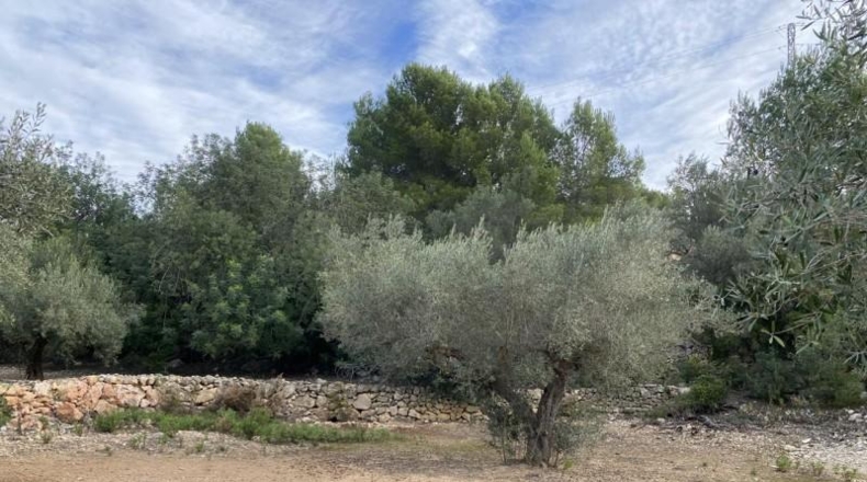 Tarragona - el Perelló - 6937m2
