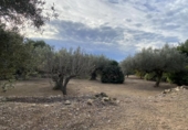 Terreno no urbanizable en venta en la España, el Perelló, ref: TR119142 foto