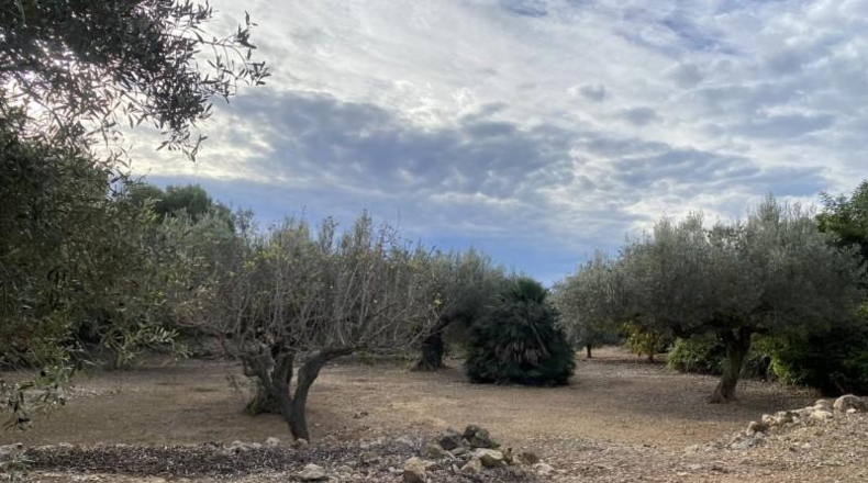 Tarragona - el Perelló - 6937m2