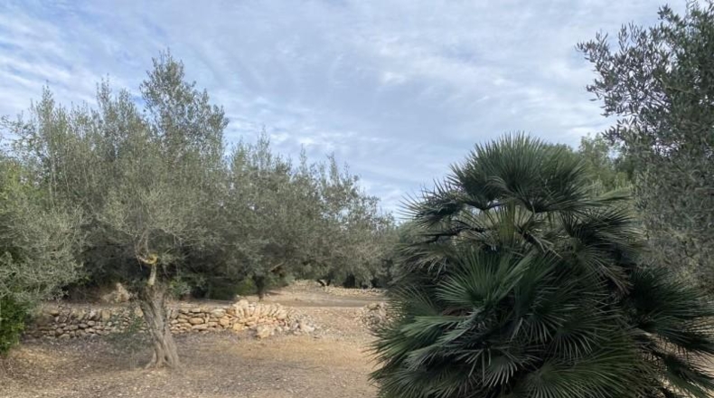 Tarragona - el Perelló - 6937m2