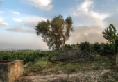 Sòl urbà en venda a la España, la Pobla Llarga, ref.: TR121809 foto