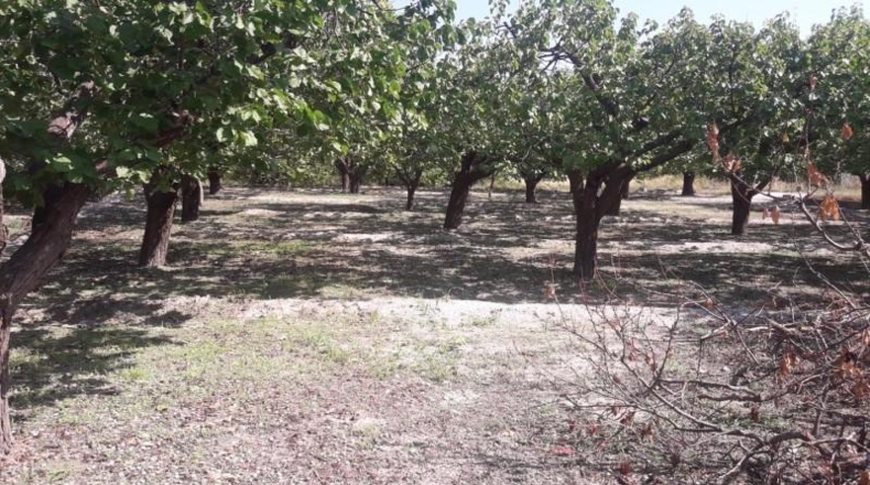 Murcia - Moratalla - 4148m2