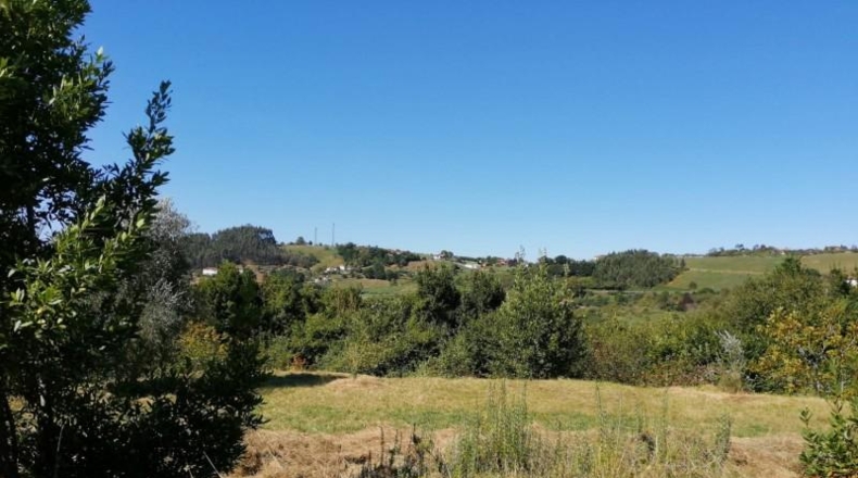 Asturias - Villaviciosa - 3500m2