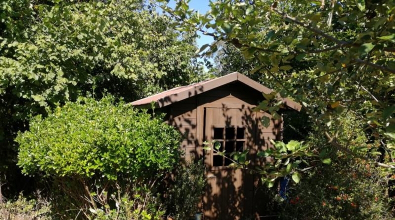 Asturias - Villaviciosa - 3500m2