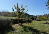Parcel·la urbanitzable en venda a la España, Villaviciosa, ref.: TR113087 foto
