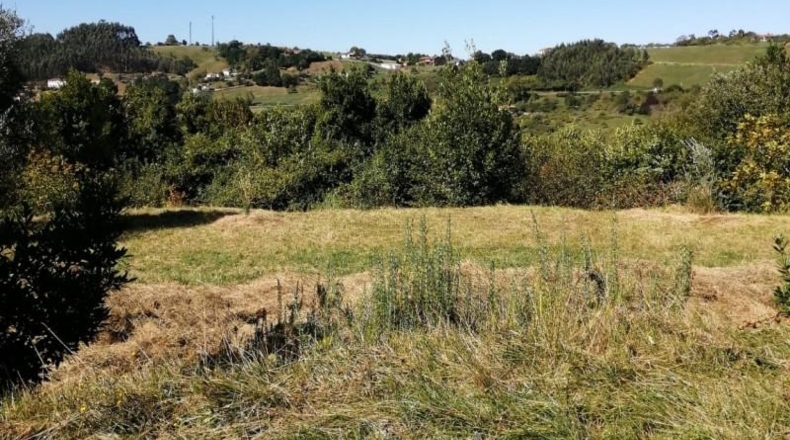 Asturias - Villaviciosa - 3500m2