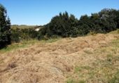 Parcel·la urbanitzable en venda a la España, Villaviciosa, ref.: TR113087 foto