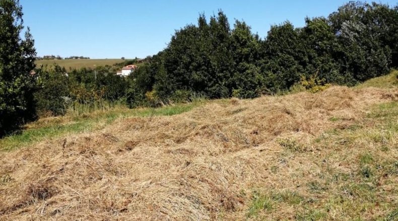 Asturias - Villaviciosa - 3500m2