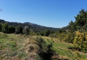 Parcel·la urbanitzable en venda a la España, Villaviciosa, ref.: TR113087 foto