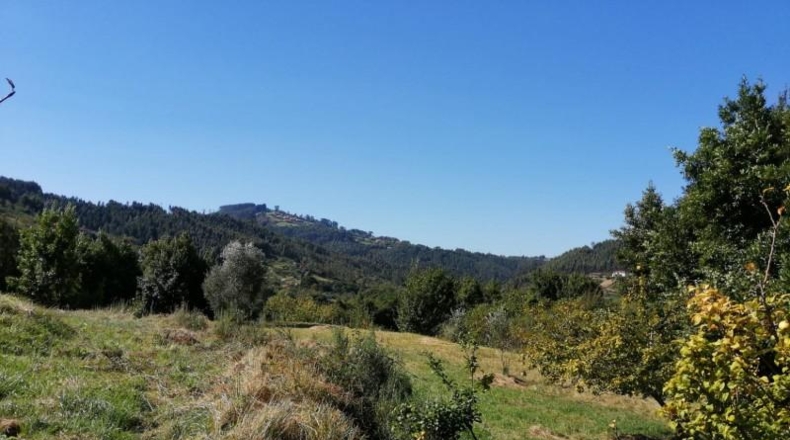Asturias - Villaviciosa - 3500m2