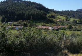 Foto 13