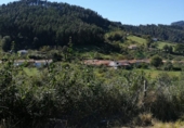 Parcel·la urbanitzable en venda a la España, Villaviciosa, ref.: TR113087 foto