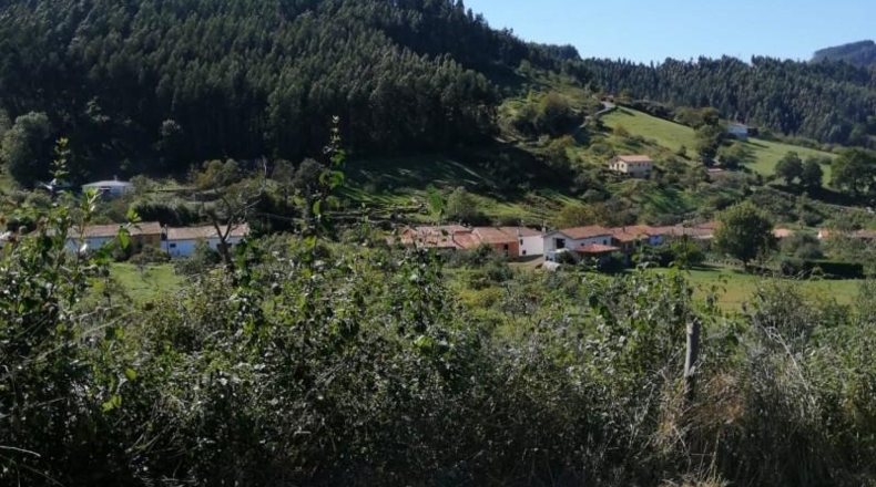 Asturias - Villaviciosa - 3500m2