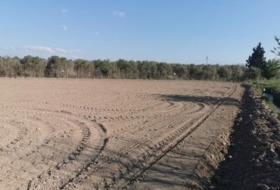 Tudela 15722&nbsp;m²