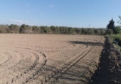 Terreny no urbanitzable en venda a la España, Tudela, ref.: TR113544 foto