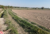 Terreny no urbanitzable en venda a la España, Tudela, ref.: TR113544 foto