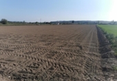 Terreny no urbanitzable en venda a la España, Tudela, ref.: TR113544 foto
