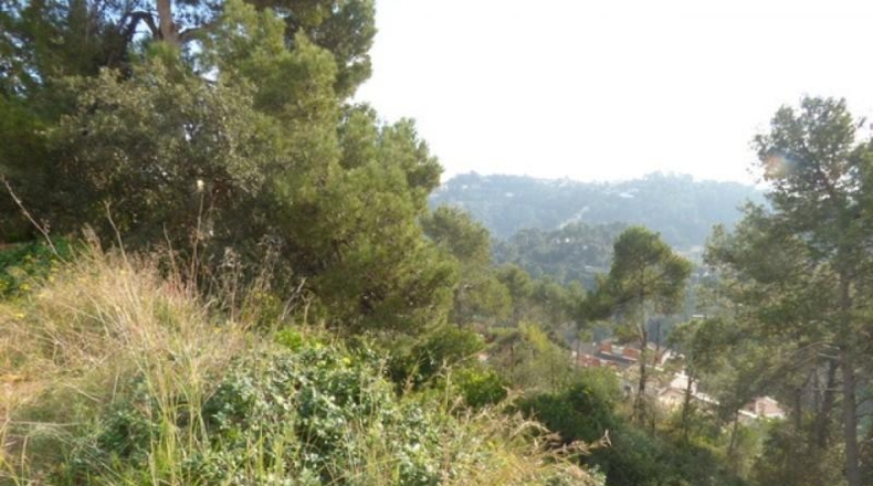 Barcelona - Palafolls - 1440m2