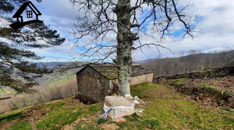 Cantabria - San Pedro del Romeral - 20680m2