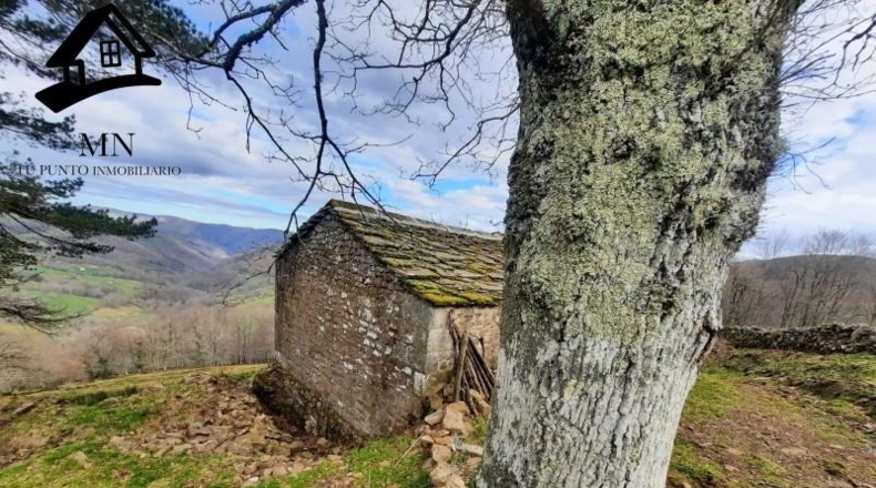 Cantabria - San Pedro del Romeral - 20680m2