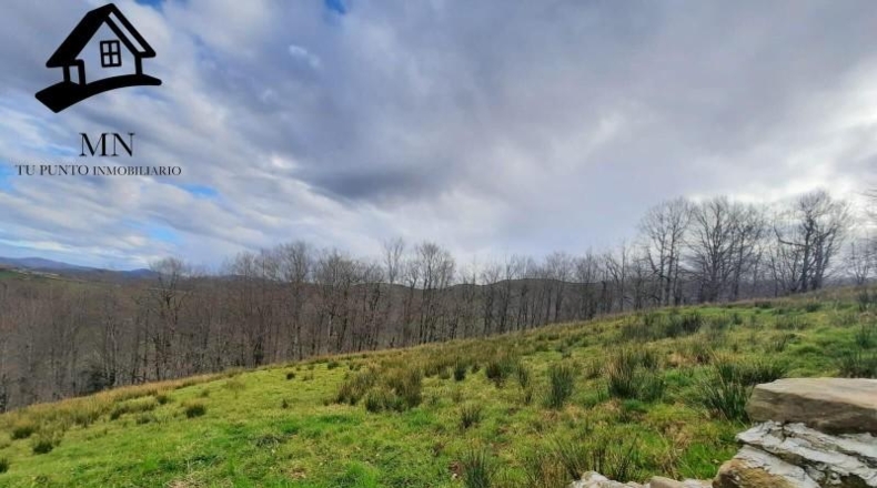 Cantabria - San Pedro del Romeral - 20680m2
