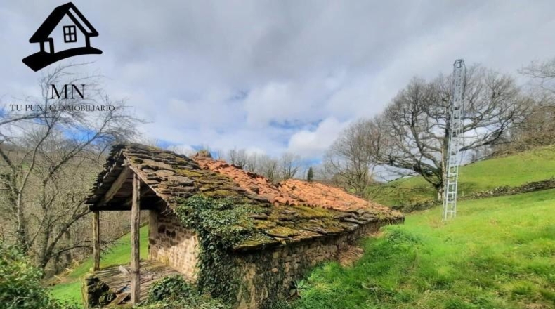 Cantàbria - San Pedro del Romeral - 10627m2