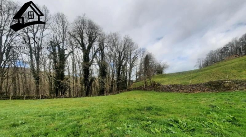Cantàbria - San Pedro del Romeral - 10627m2