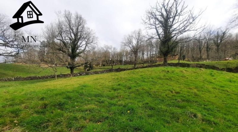 Cantàbria - San Pedro del Romeral - 10627m2