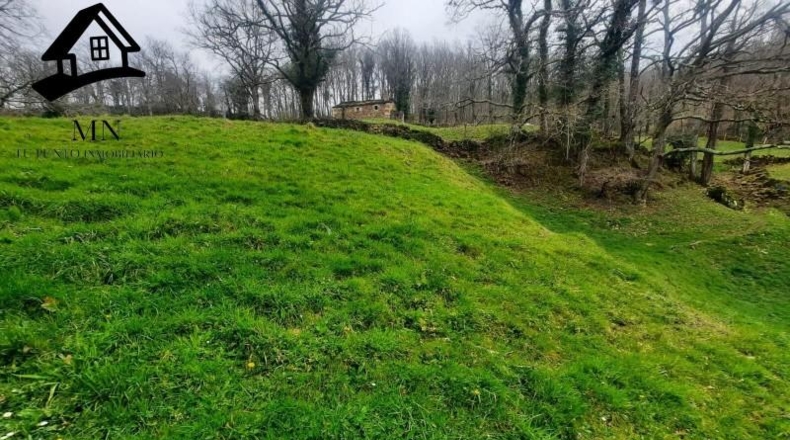 Cantàbria - San Pedro del Romeral - 10627m2