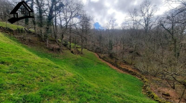 Cantàbria - San Pedro del Romeral - 10627m2