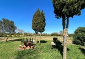 Terreny no urbanitzable en venda a la España, Porreres, ref.: TR314942 foto